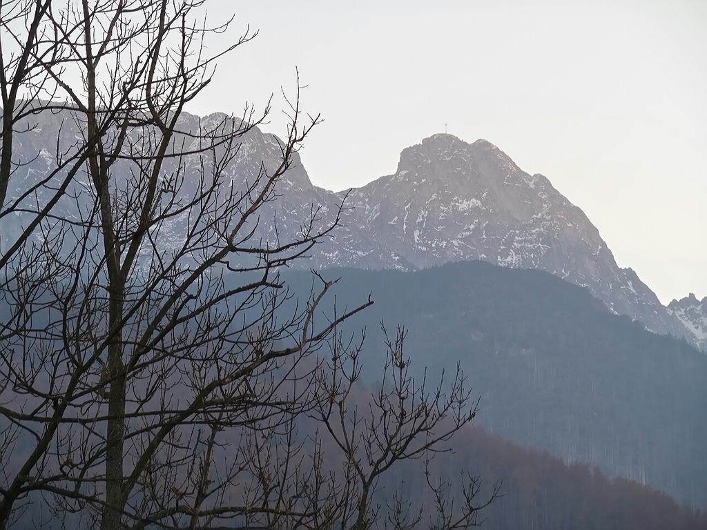 Appartement Willa Pod Halami à Zakopane Extérieur photo